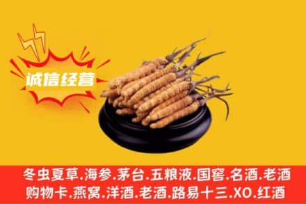 薛城区回收冬虫夏草